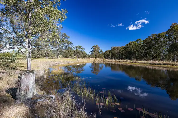 Third view of Homely rural property listing, 3568 Wallanbah Road, Dyers Crossing NSW 2429