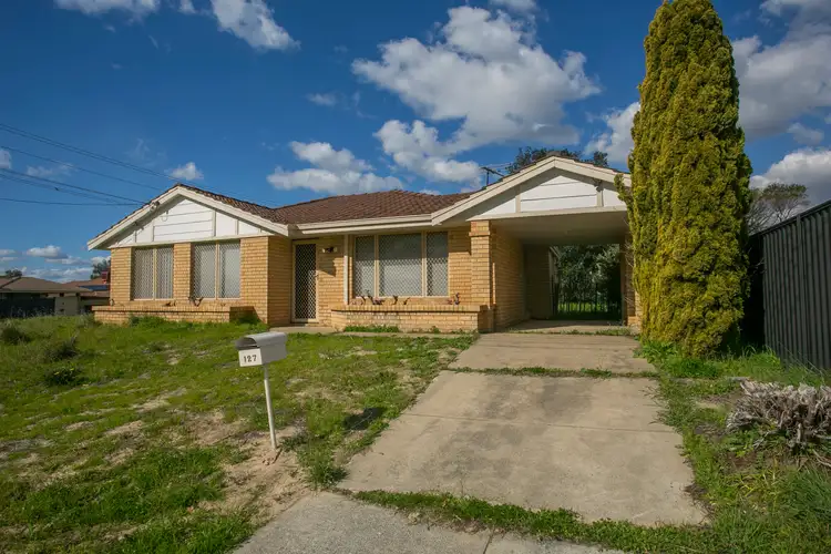 Fifth view of Homely house listing, 127 Sacramento Avenue, Beechboro WA 6063