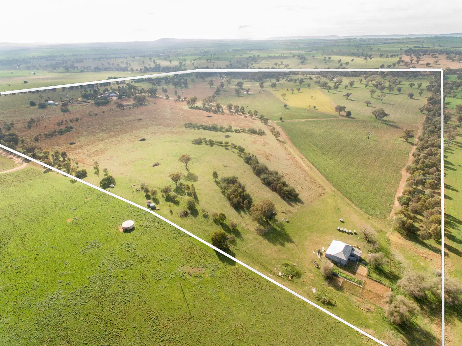 Main view of Homely rural property listing, 1228 Jerrybang Lane, Monteagle via, Young NSW 2594