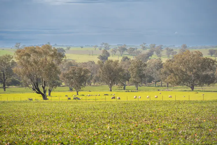 Third view of Homely rural property listing, 1228 Jerrybang Lane, Monteagle via, Young NSW 2594