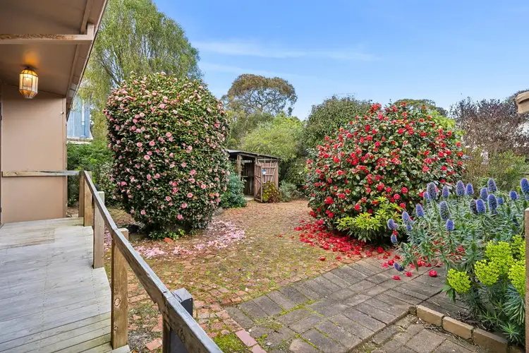 Sixth view of Homely house listing, 14 Kurrajong Court, Ocean Grove VIC 3226