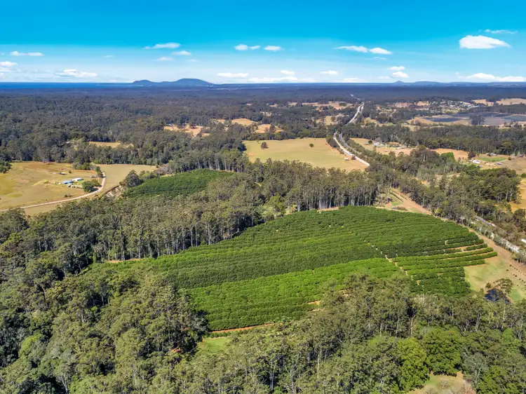 LOT 3 Pacific Highway, Eungai Creek NSW 2441