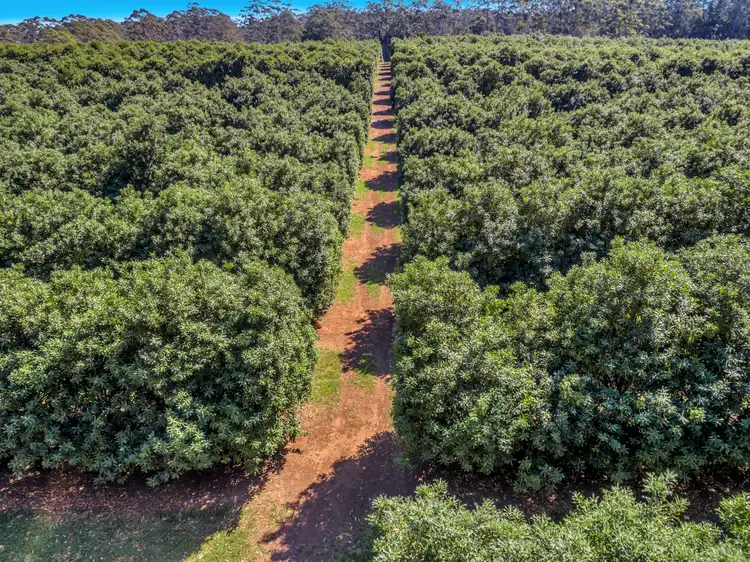 Third view of Homely land listing, LOT 3 Pacific Highway, Eungai Creek NSW 2441