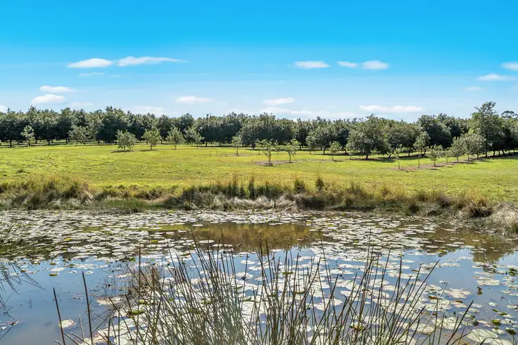 Fifth view of Homely land listing, LOT 3 Pacific Highway, Eungai Creek NSW 2441