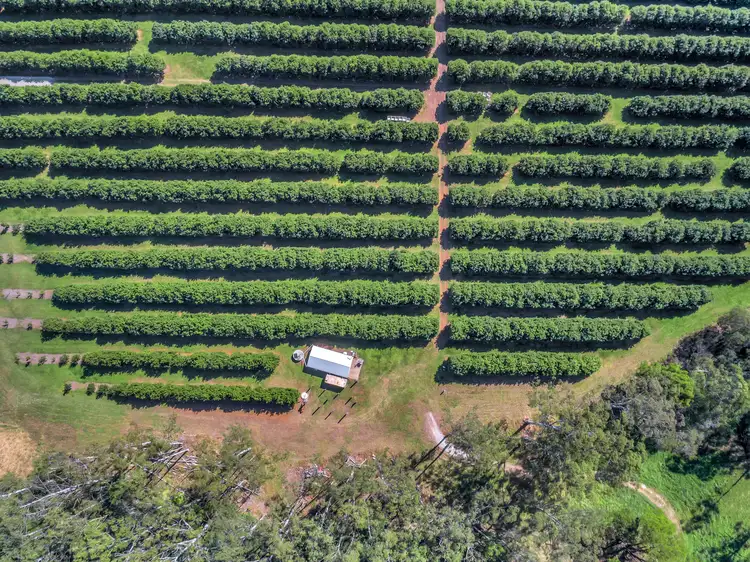 Sixth view of Homely land listing, LOT 3 Pacific Highway, Eungai Creek NSW 2441