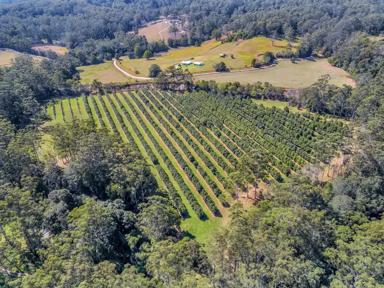 Seventh view of Homely land listing, LOT 3 Pacific Highway, Eungai Creek NSW 2441