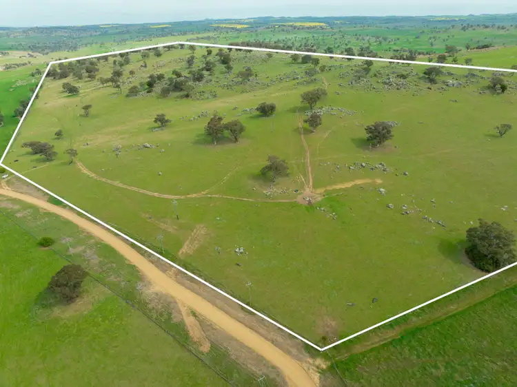 Main view of Homely rural property listing, Cemetery Road, Murrumburrah NSW 2587