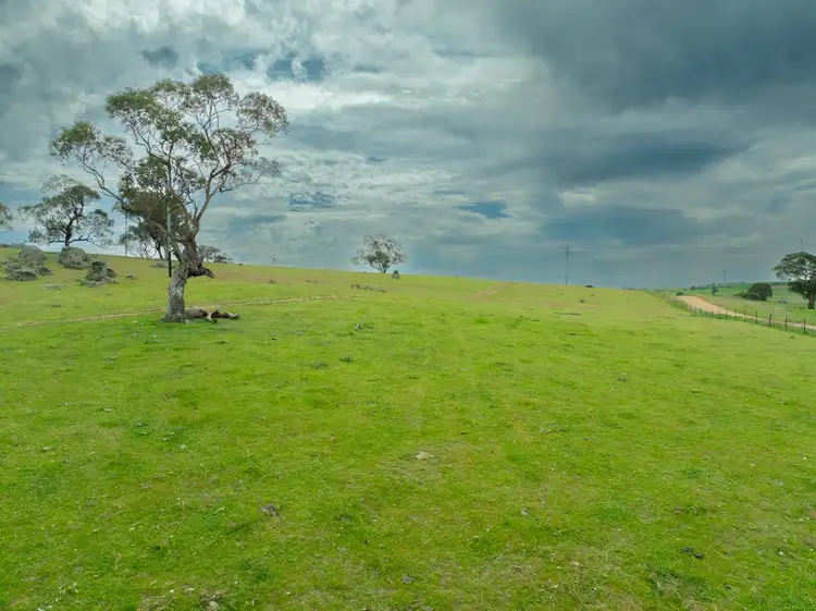 Cemetery Road, Murrumburrah NSW 2587