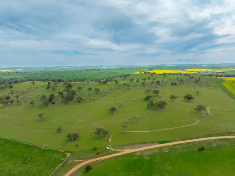 Cemetery Road, Murrumburrah NSW 2587