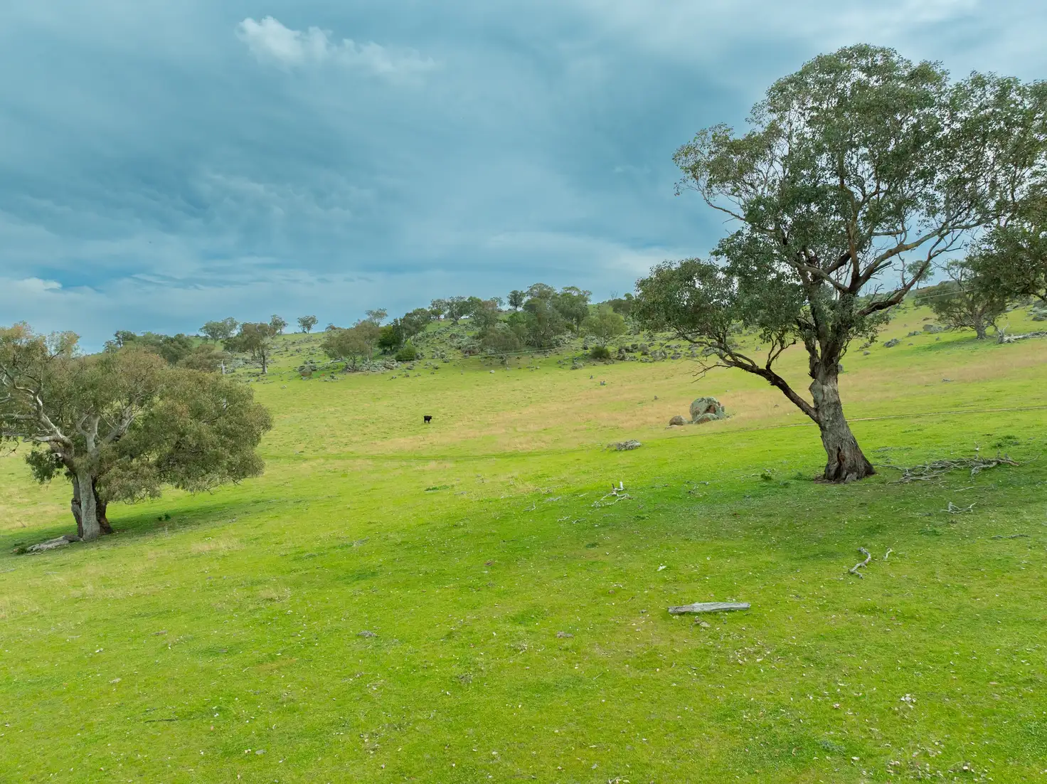 Main view of Homely rural property listing, Cemetery Road, Murrumburrah NSW 2587