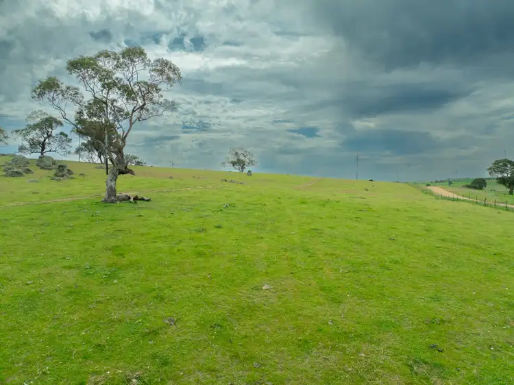 Second view of Homely rural property listing, Cemetery Road, Murrumburrah NSW 2587