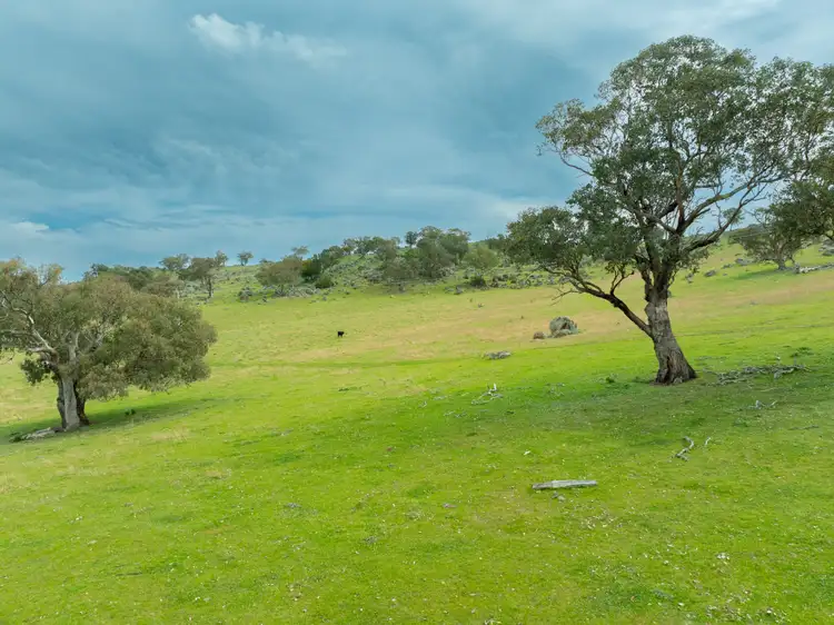Fifth view of Homely rural property listing, Cemetery Road, Murrumburrah NSW 2587