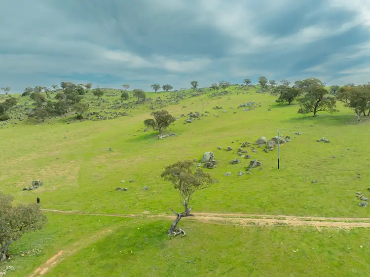 Sixth view of Homely rural property listing, Cemetery Road, Murrumburrah NSW 2587