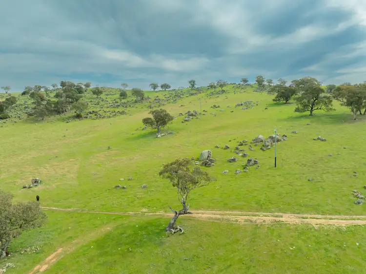 Seventh view of Homely rural property listing, Cemetery Road, Murrumburrah NSW 2587