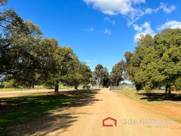 Third view of Homely house listing, 691 Tribolets Road, Collingullie NSW 2650