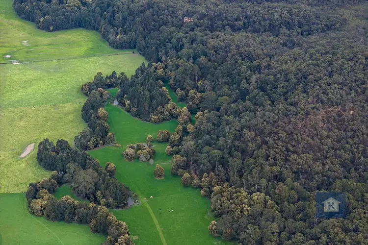 Second view of Homely rural property listing, 845 Pipeline Road, Carlisle River VIC 3239