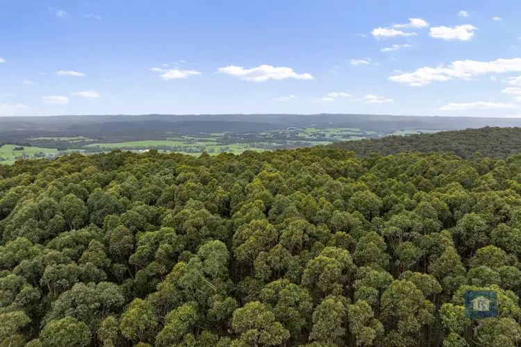 Fourth view of Homely rural property listing, 845 Pipeline Road, Carlisle River VIC 3239