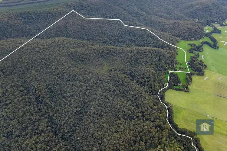 Seventh view of Homely rural property listing, 845 Pipeline Road, Carlisle River VIC 3239