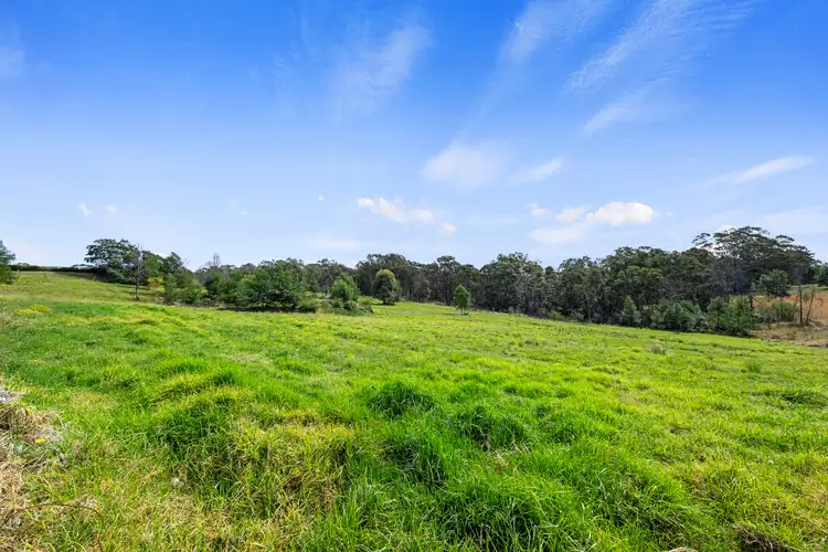 Third view of Homely rural property listing, 135 Blaxlands Ridge Road, Kurrajong NSW 2758