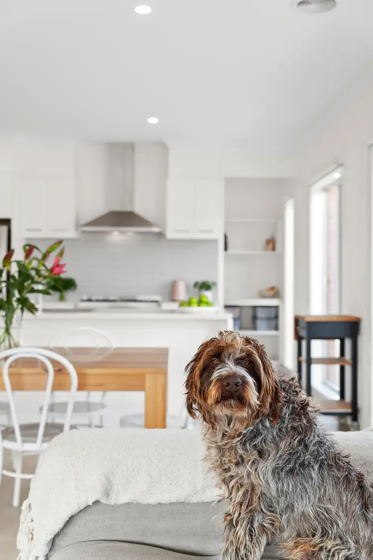 Sixth view of Homely house listing, 59 Shorebreak Way, Ocean Grove VIC 3226