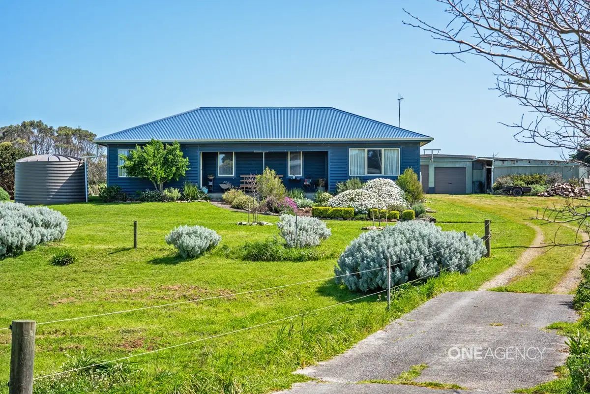 Main view of Homely house listing, 824 Comeback Road, Marrawah TAS 7330