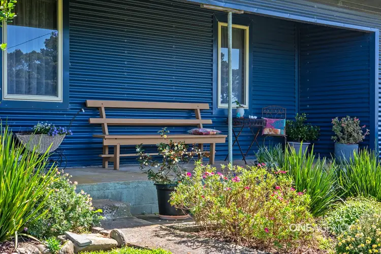 Fifth view of Homely house listing, 824 Comeback Road, Marrawah TAS 7330