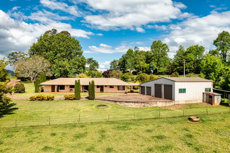 641 Old Coast Road, North Dorrigo NSW 2453