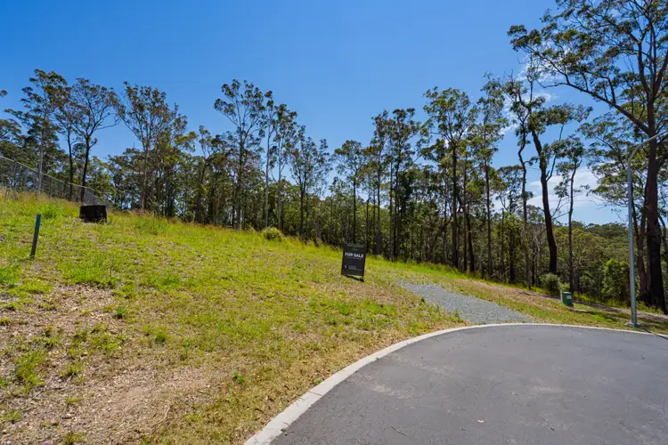 Sixth view of Homely land listing, 245 Summerland Estate Tallwood Drive, Hallidays Point NSW 2430