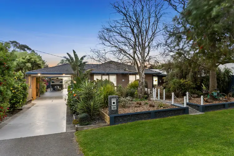 36 Palmerston Street, Drysdale VIC 3222