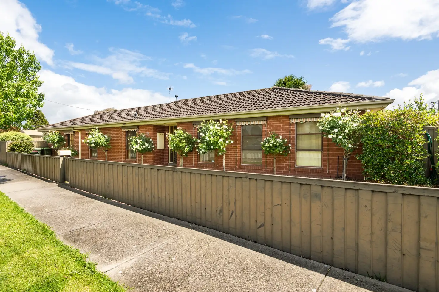 Main view of Homely house listing, 126 Solar Drive, Whittington VIC 3219