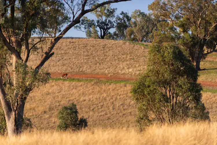Fifth view of Homely land listing, Lot 8 Wynyard Hill, Springvale NSW 2650