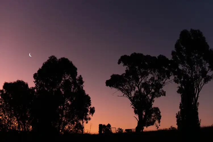 Sixth view of Homely land listing, Lot 8 Wynyard Hill, Springvale NSW 2650