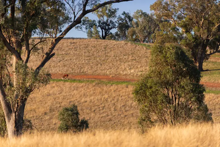 Fifth view of Homely land listing, Lot 2 Wynyard Hill, Springvale NSW 2650