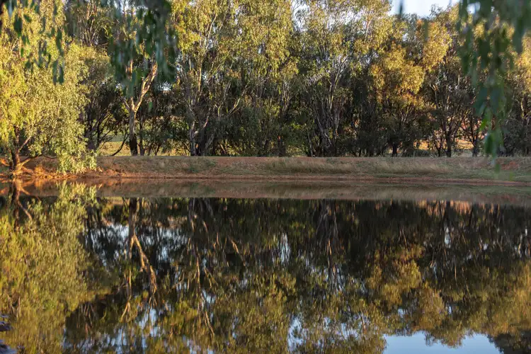 Sixth view of Homely land listing, Lot 4 Wynyard Hill, Springvale NSW 2650