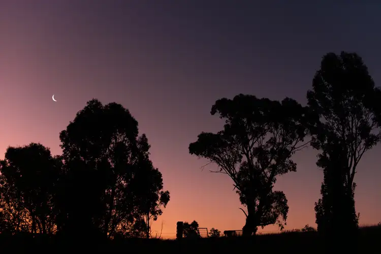 Fifth view of Homely land listing, Lot 9 Wynyard Hill, Springvale NSW 2650