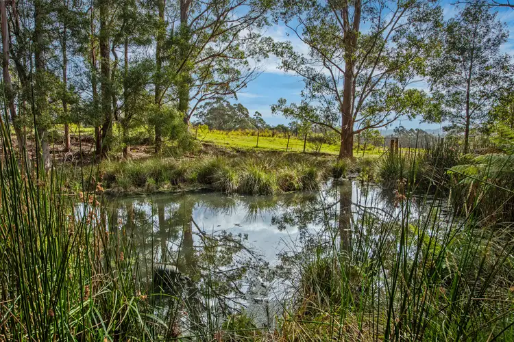 Fifth view of Homely rural property listing, 960 Calder Road, Calder TAS 7325
