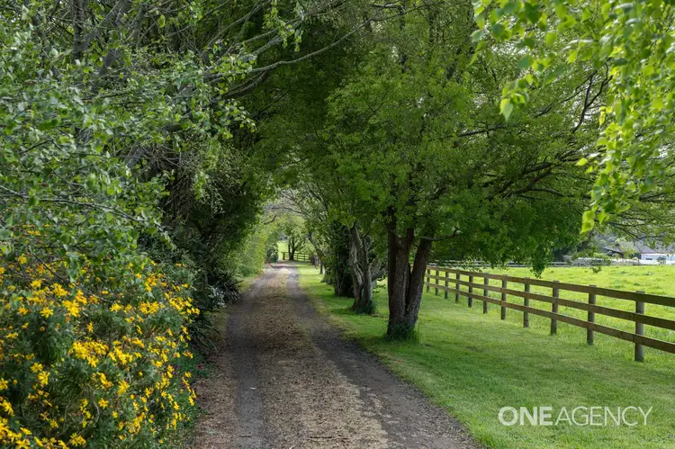 Fourth view of Homely rural property listing, 952 Murchison Highway, Elliott TAS 7325