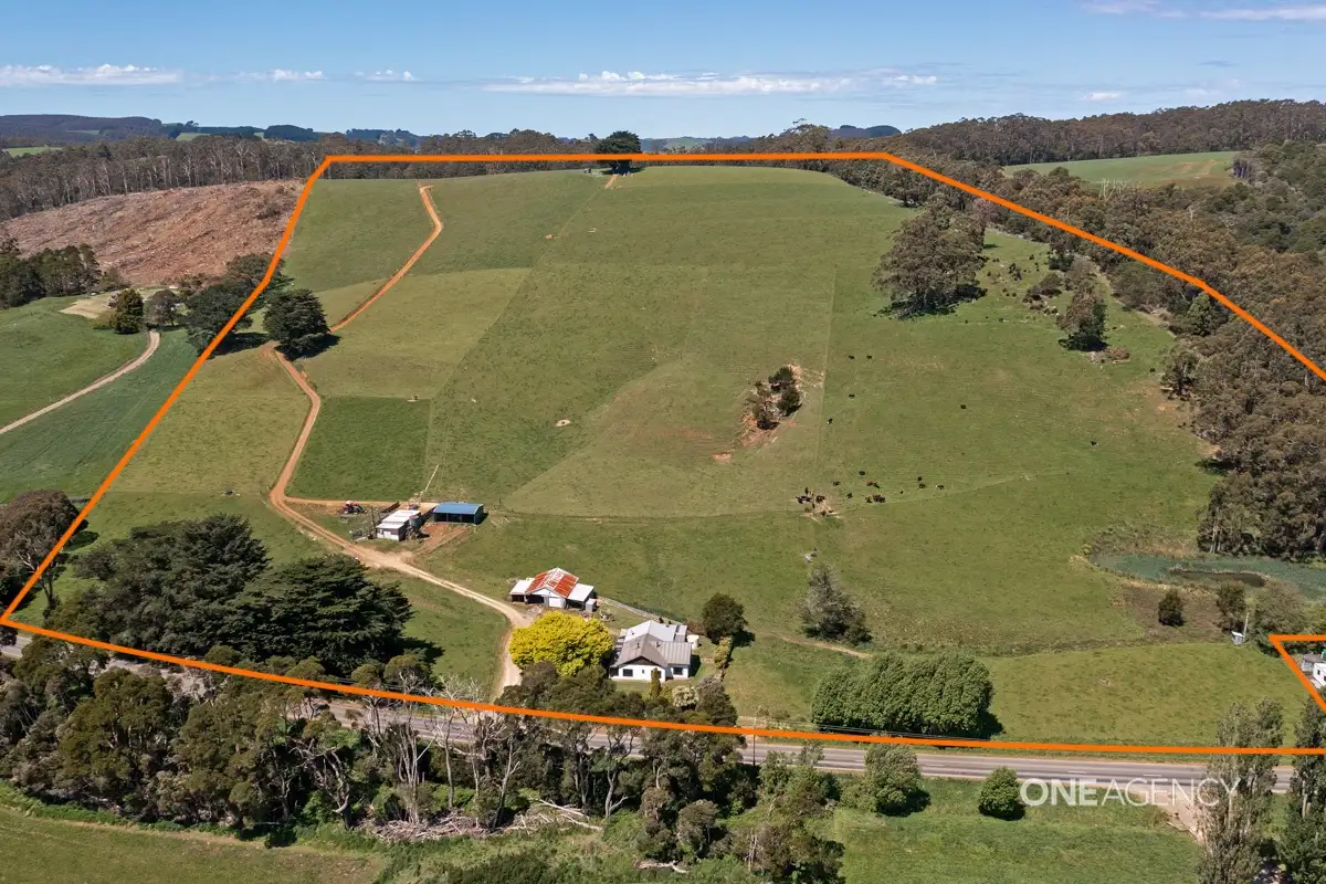 Main view of Homely rural property listing, 1383 Trowutta Road, Edith Creek TAS 7330