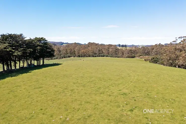 Fifth view of Homely rural property listing, 1383 Trowutta Road, Edith Creek TAS 7330