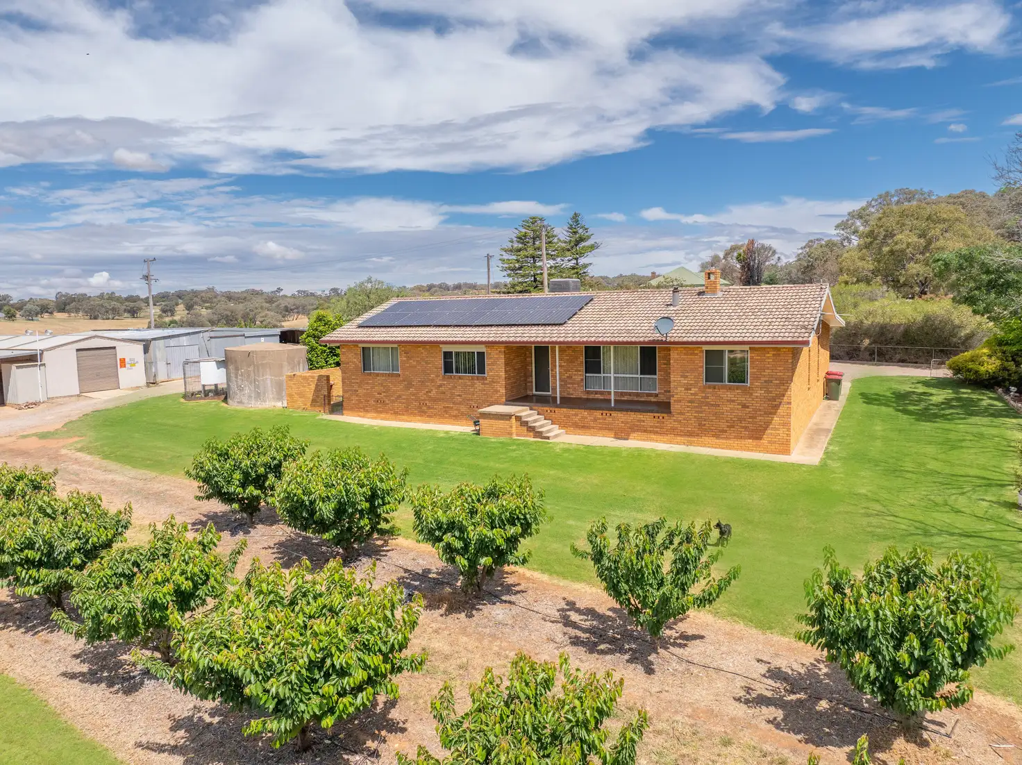 Main view of Homely rural property listing, 1146 Kingsvale Road, Young NSW 2594