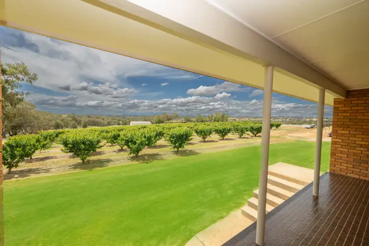 Second view of Homely rural property listing, 1146 Kingsvale Road, Young NSW 2594