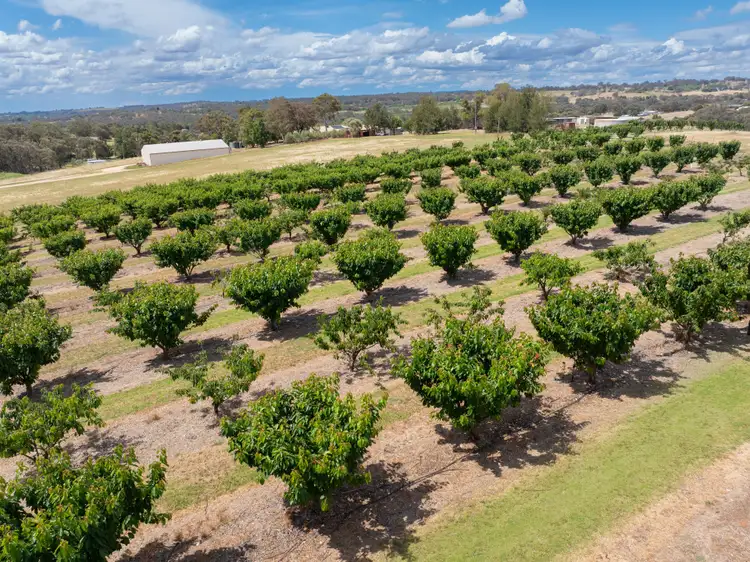 Third view of Homely rural property listing, 1146 Kingsvale Road, Young NSW 2594