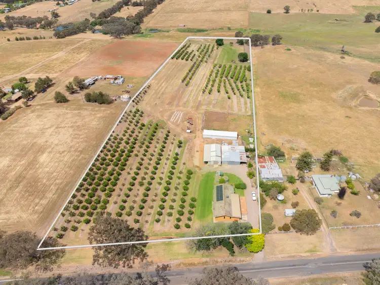 Fourth view of Homely rural property listing, 1146 Kingsvale Road, Young NSW 2594