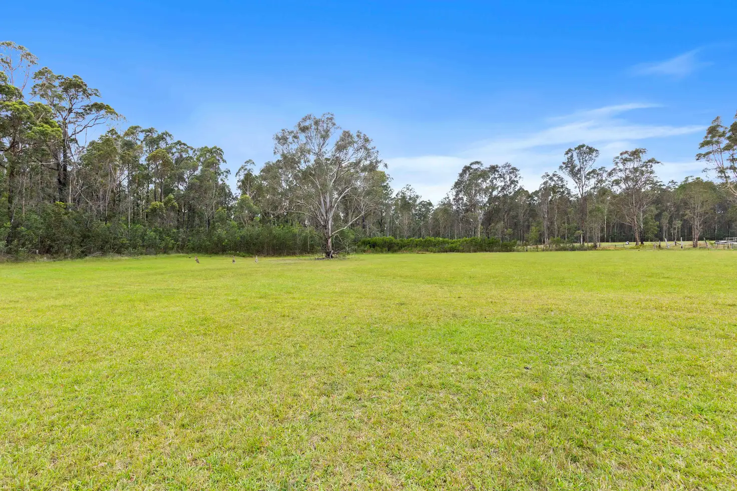 Main view of Homely land listing, 20 Bimbimbie Lane, Bimbimbie NSW 2536
