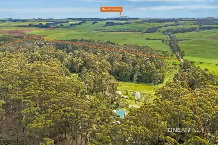 Main view of Homely rural property listing, 98 MacKays Road, Marrawah TAS 7330