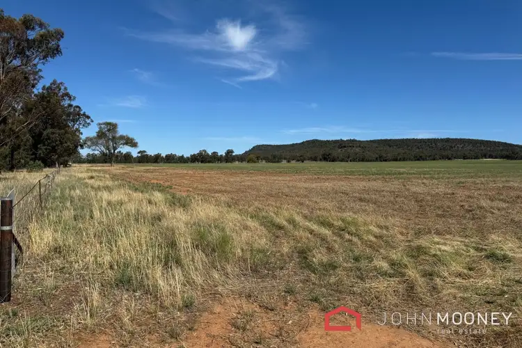 Main view of Homely land listing, 203 Slocums Lane, Fargunyah NSW 2656
