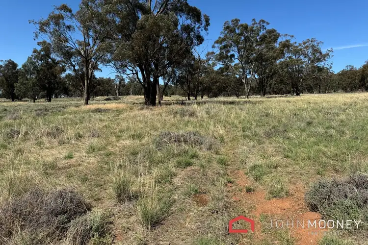 Third view of Homely land listing, 203 Slocums Lane, Fargunyah NSW 2656