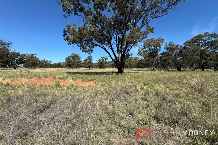 Fifth view of Homely land listing, 203 Slocums Lane, Fargunyah NSW 2656