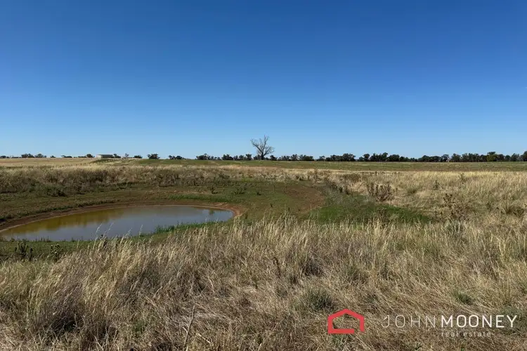 Sixth view of Homely land listing, 203 Slocums Lane, Fargunyah NSW 2656