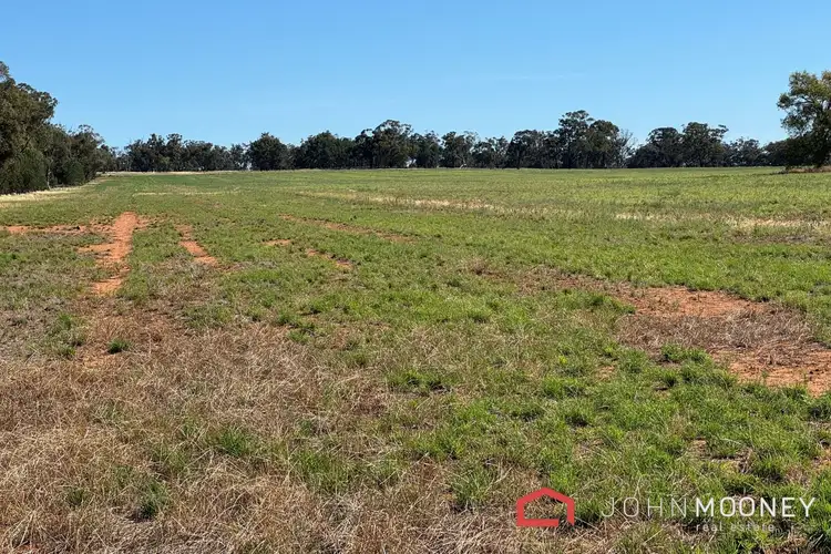 Seventh view of Homely land listing, 203 Slocums Lane, Fargunyah NSW 2656
